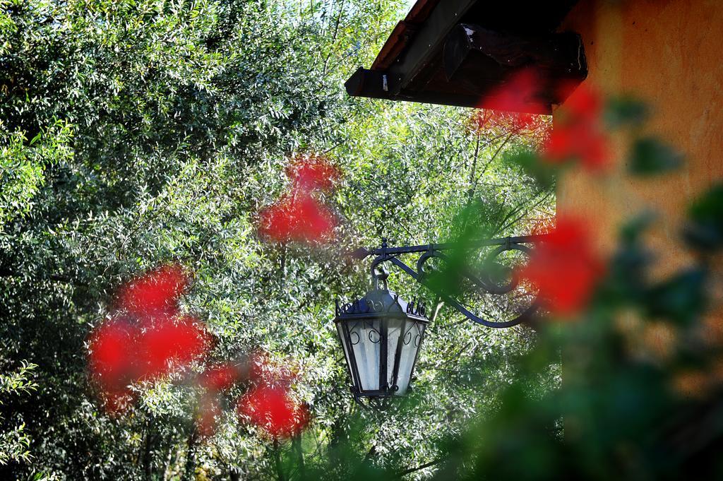 L'Antica Mola Villa Castel Madama Habitación foto