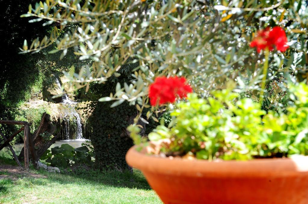 L'Antica Mola Villa Castel Madama Habitación foto