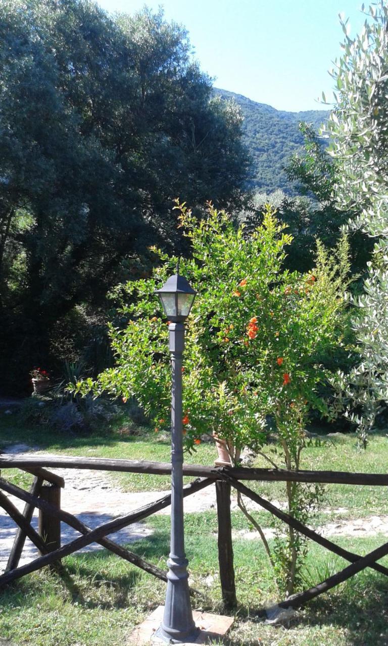 L'Antica Mola Villa Castel Madama Exterior foto